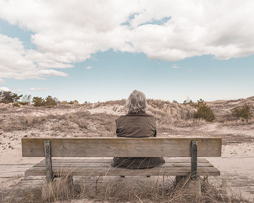 自动攻击网站工具下载