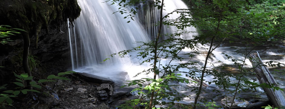 网站攻击工具手机版